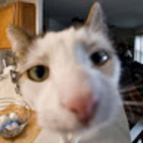 Meet your Posher, Tagsio - Picture 1 of 1